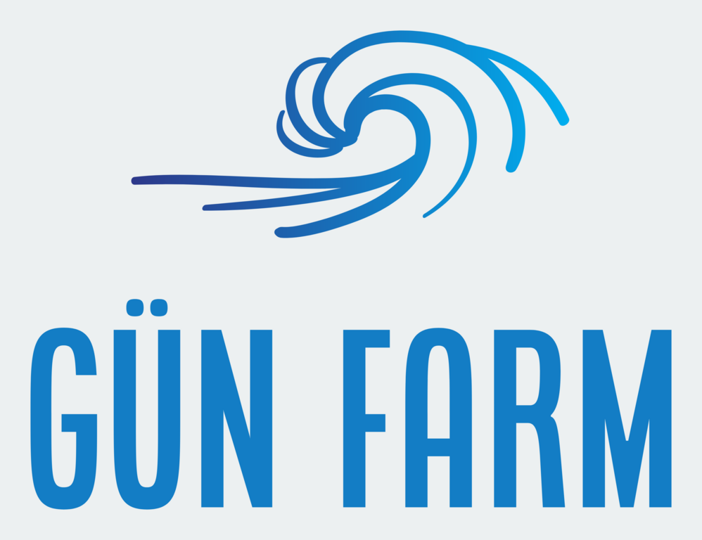 GUN PHARM LLC